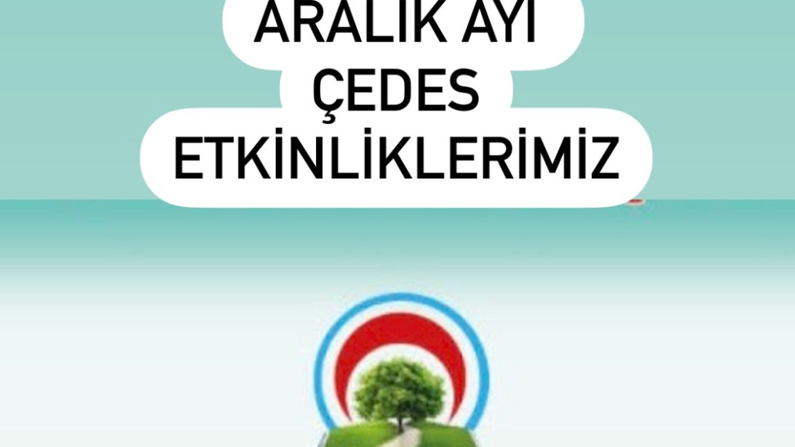 ÇEDES PROJESİ ARALIK-2024  AYI ETKİNLİKLERİ